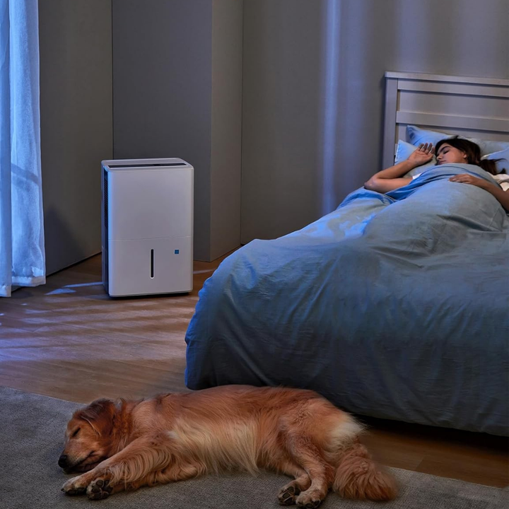 Deumidificatore portatile intelligente silenzioso per la casa, asciugatore d'aria con controllo dell'umidità
