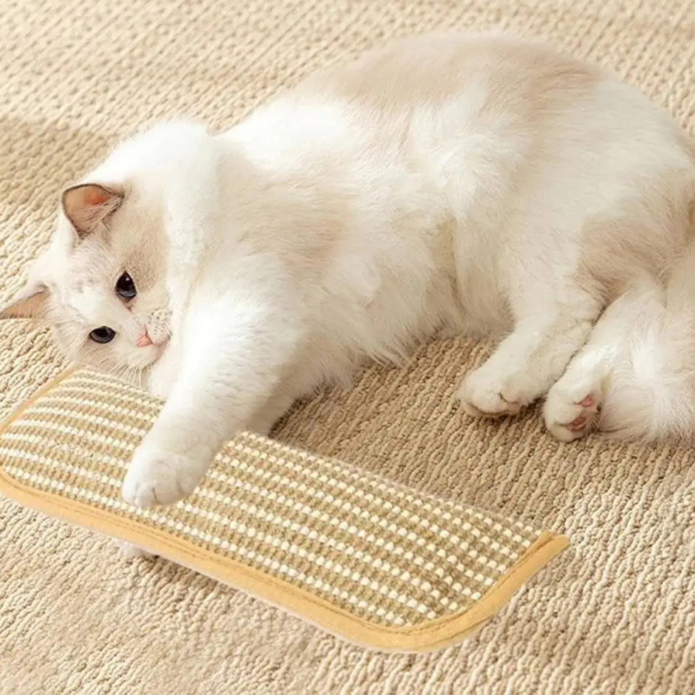 Katzenminze-Spielzeug Katzenkratzmatte Hängendes Plüschkissen