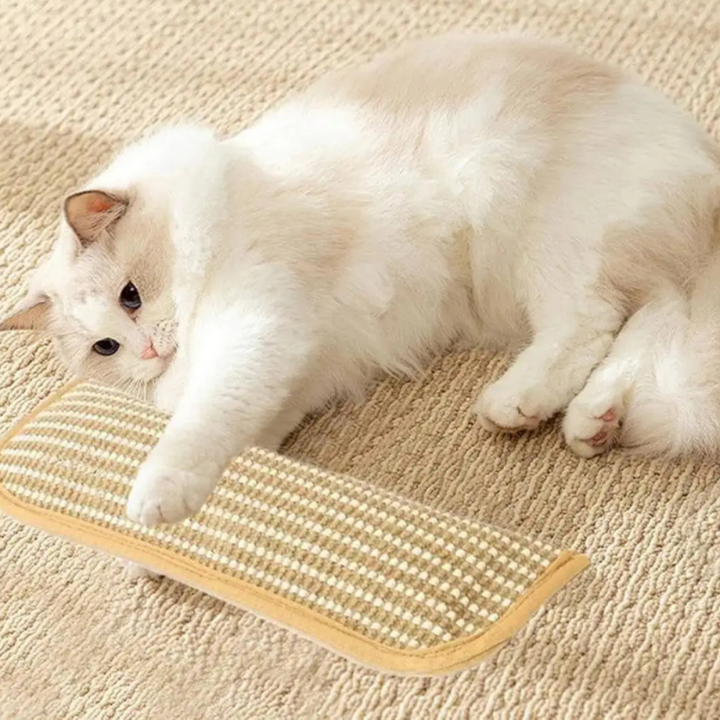 Katzenminze-Spielzeug Katzenkratzmatte Hängendes Plüschkissen