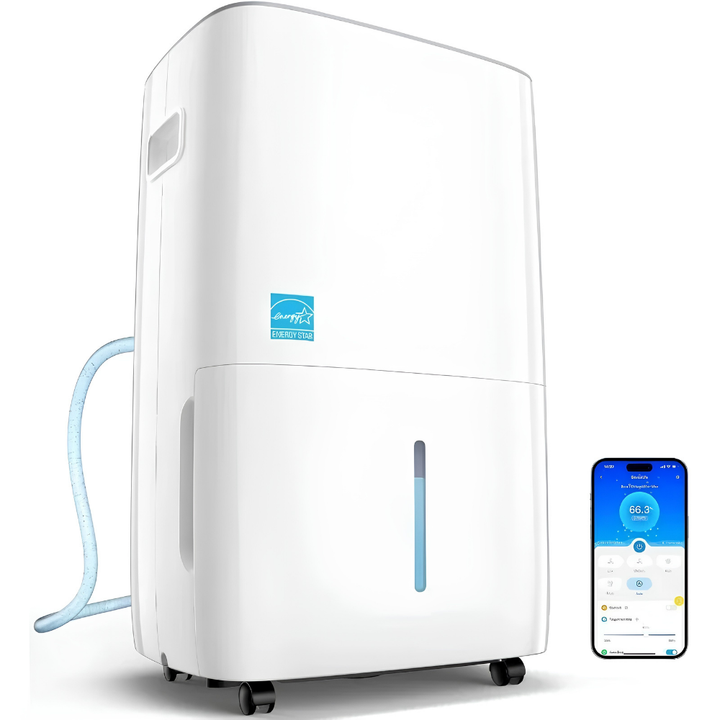 Deumidificatore domestico intelligente a risparmio energetico Deumidificatore intelligente