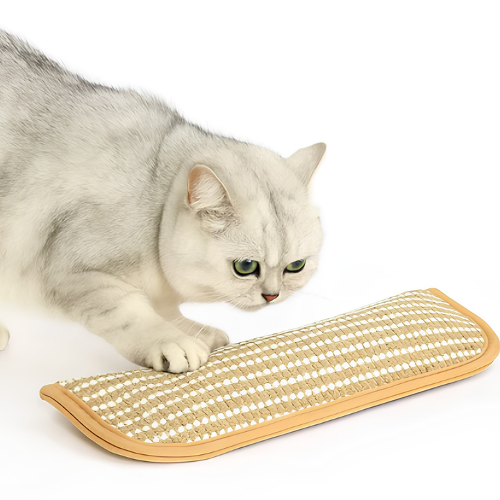 Katzenminze-Spielzeug Katzenkratzmatte Hängendes Plüschkissen