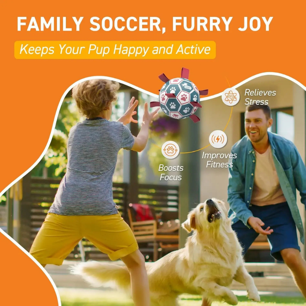 World Cup Durable Dog Toy Dog Soccer Ball Dual Grip Mesh Rugged