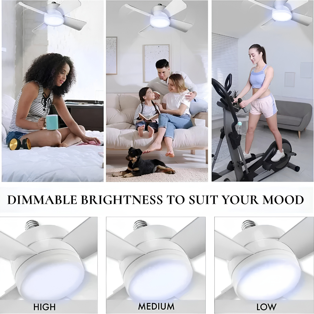 Ceiling Fan Light Flush Mount Remote Control LED