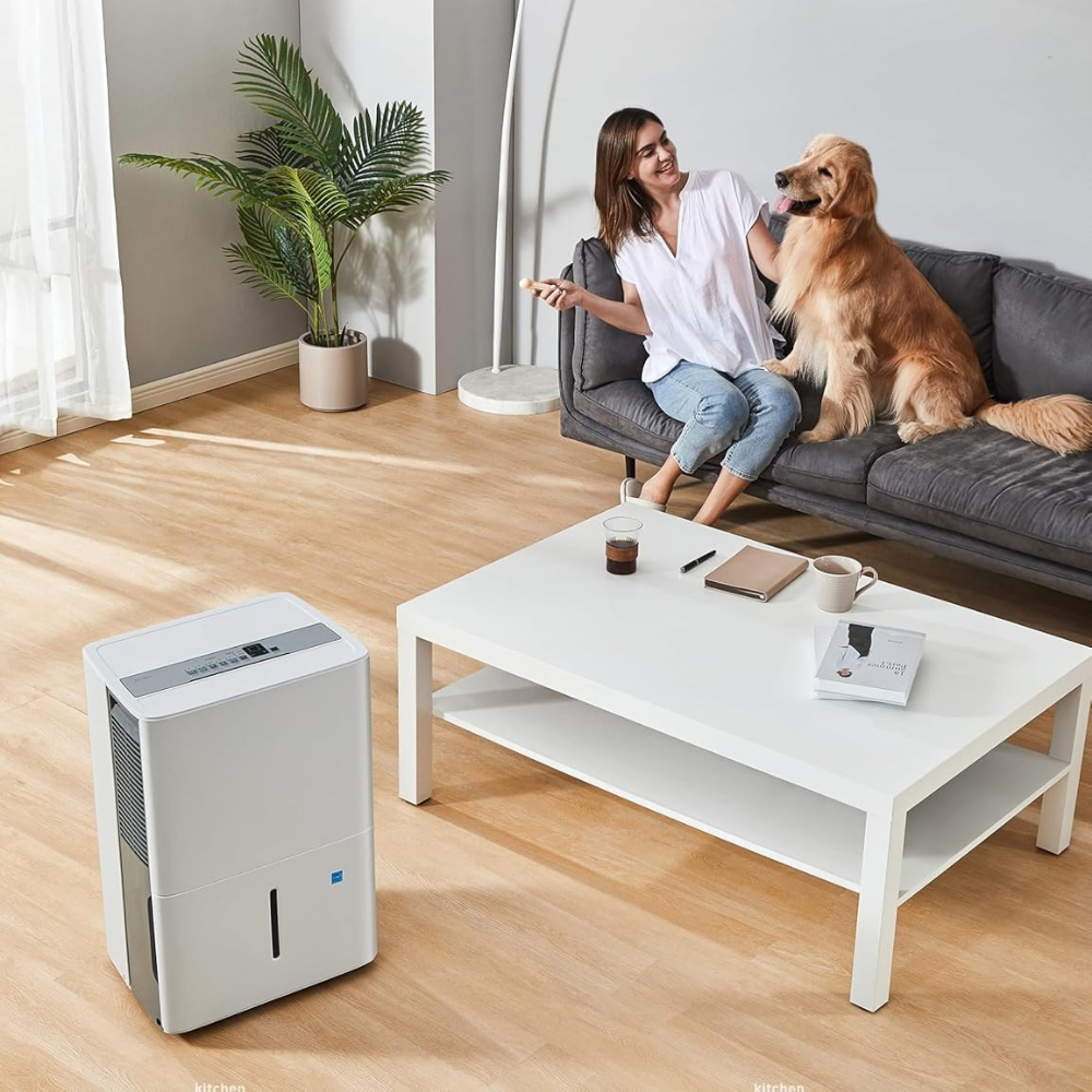 Deumidificatore portatile intelligente silenzioso per la casa, asciugatore d'aria con controllo dell'umidità