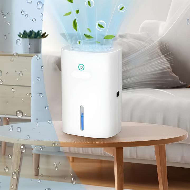 Deumidificatore portatile silenzioso con grande capacità per uso domestico