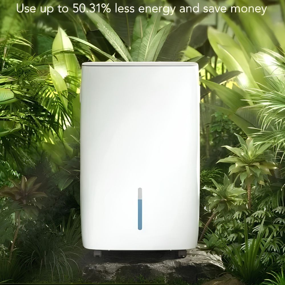 Deumidificatore domestico intelligente a risparmio energetico Deumidificatore intelligente