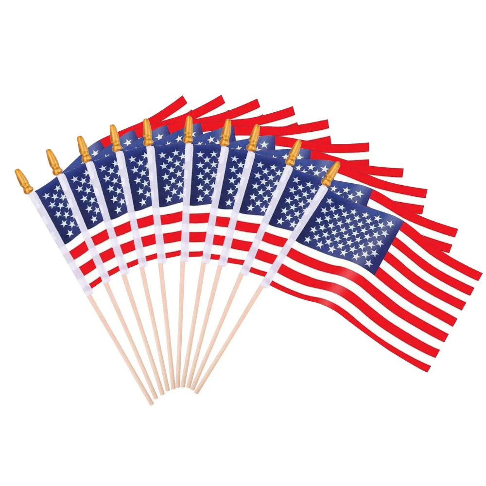 Set di ventagli con bandiere a bastoncino della Coppa del Mondo USA in confezione bulk