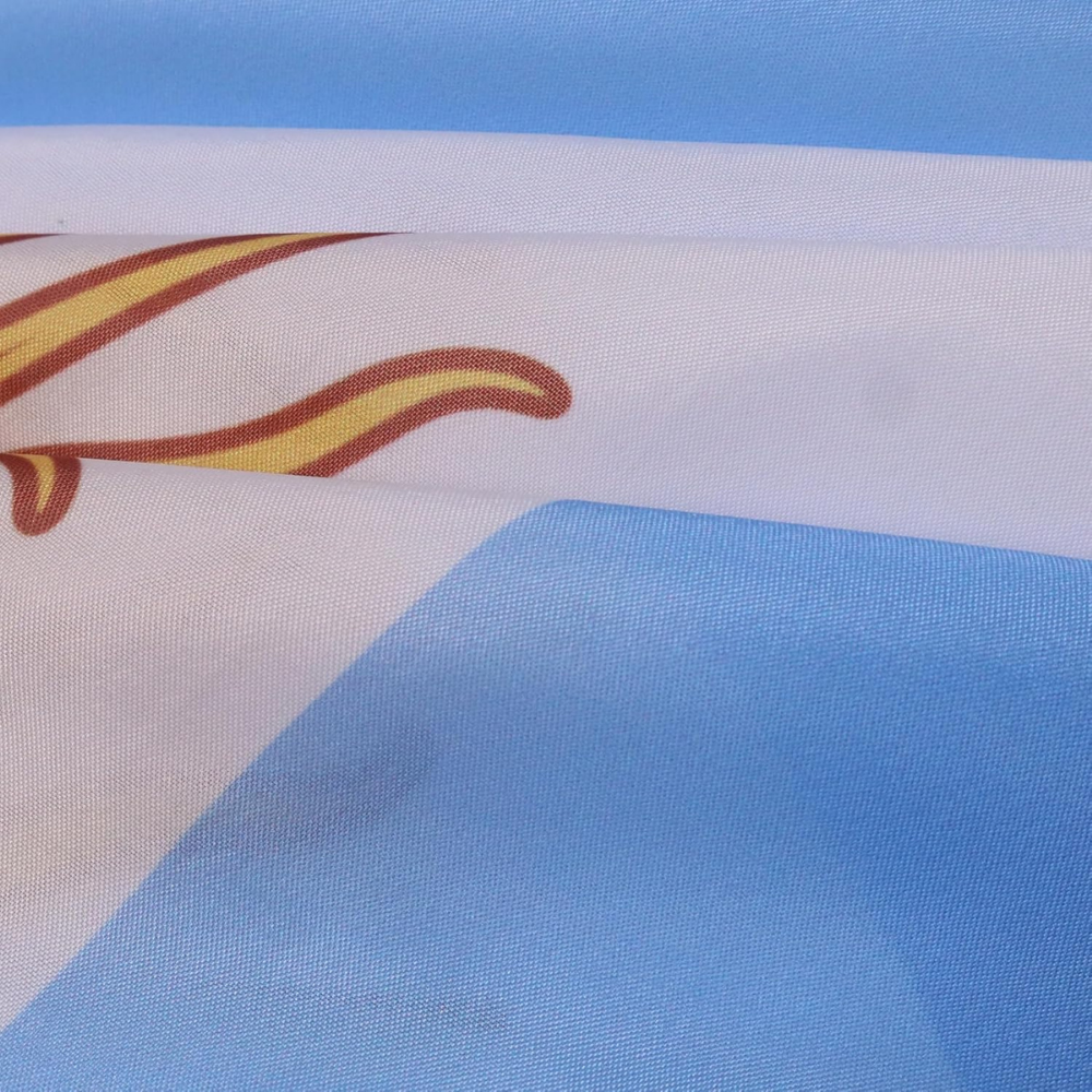 Argentina Flag Cape World Cup Polyester Sports Fan Gear Events