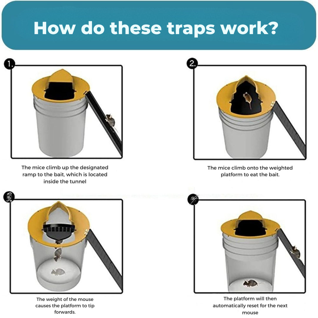 Mouse Trap Bucket Humane Catch And Release No Kill Rat Plastic With Tipping Platform And Ramp - Image 3