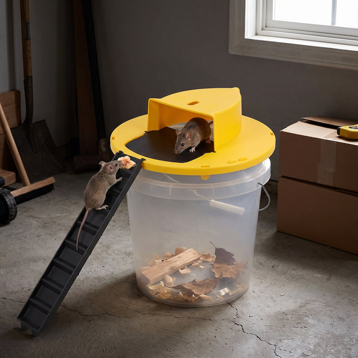 Mouse Trap Automatic Rat Bucket Lid With Ramp Plastic Yellow Black Multi-catch Rodent Catcher - Image 1