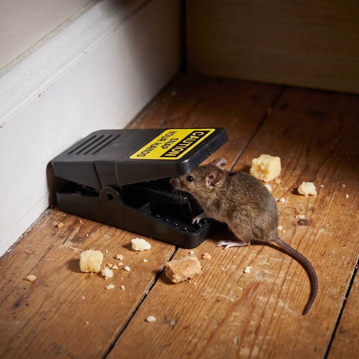Mouse Trap Reusable Snap Rat For Home Pest Control Plastic Jaw-style With Bait Cup Black - Image 2