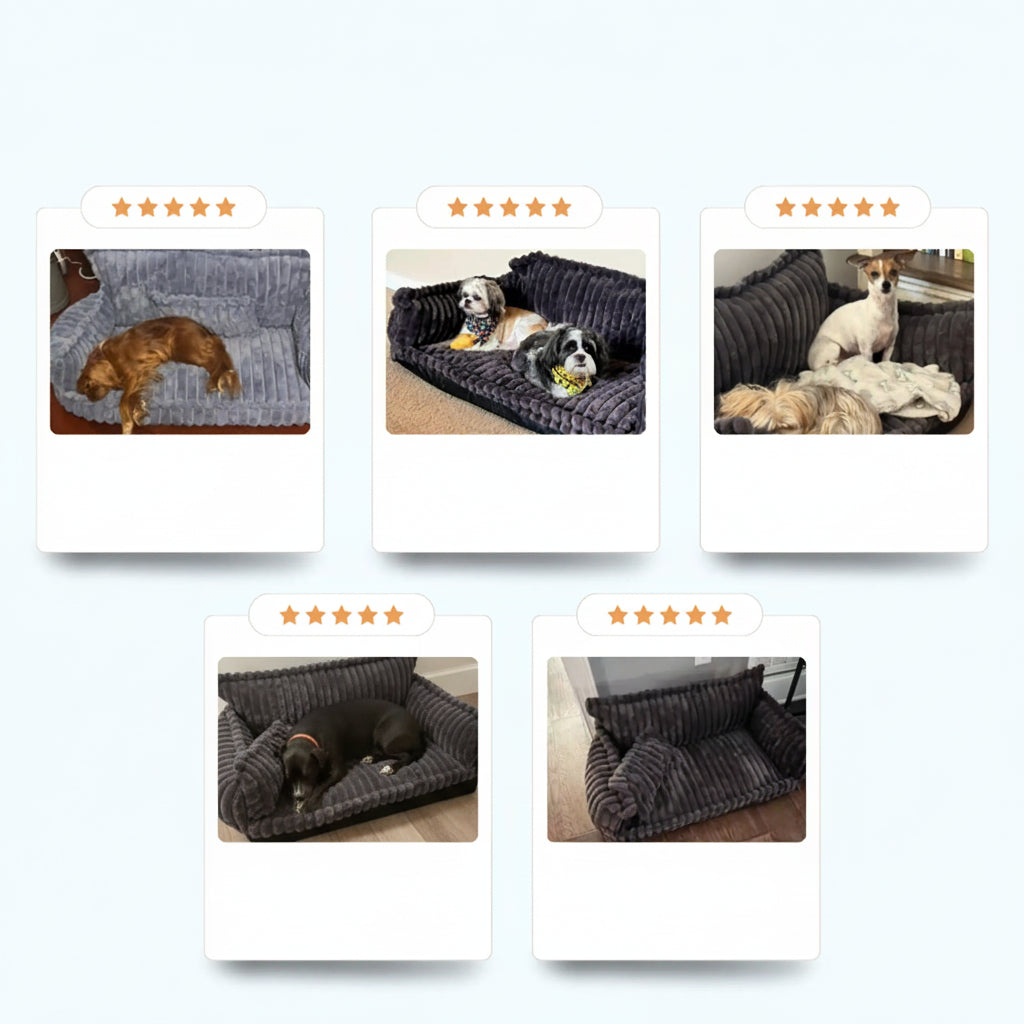 Orthopedic Dog Bed Sofa Washable Plush Foam Pet Couch