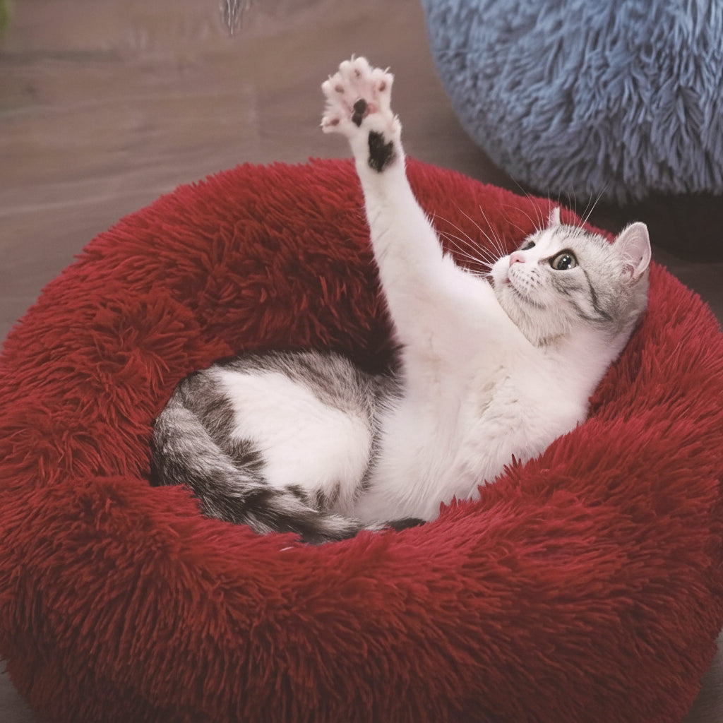 Cat Bed Small Large Cats Plush Cozy Comfort Lounger